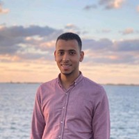 Osama Gamal