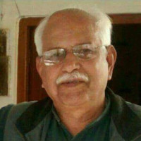V Chaturvedi