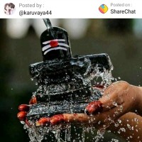 Kavitha Shankar