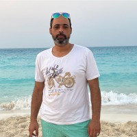 Eng. Mohamed Bayoumy