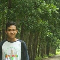 Daus Fikri