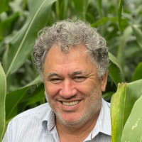 Benedito Santana Torquato
