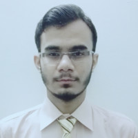 Muhammad Hassan Anwar