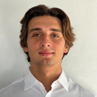 Tigran Mirzayantz