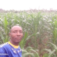Onyekachi Ukaoha