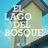 El Lago Del Bosque Spanish Online Camp