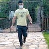 Vedat Noyan