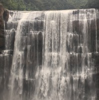 王福龙