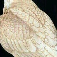 من كل القنوات اجمل شيء