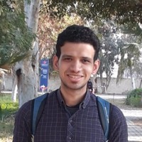 Hossam Abdelwahab