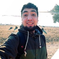 Wladimir Cerda