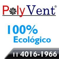 ALEXSANDRE CORREA DE MORAES