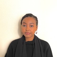 Dina Amir
