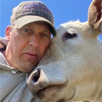 John Andringa