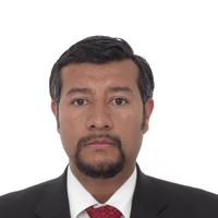 Mauricio Andres Villamizar Octavo