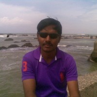 vikram palani