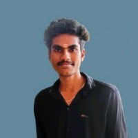 Gokulakannan P