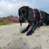 Gemma Senior