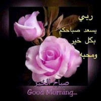 Uae Dxb