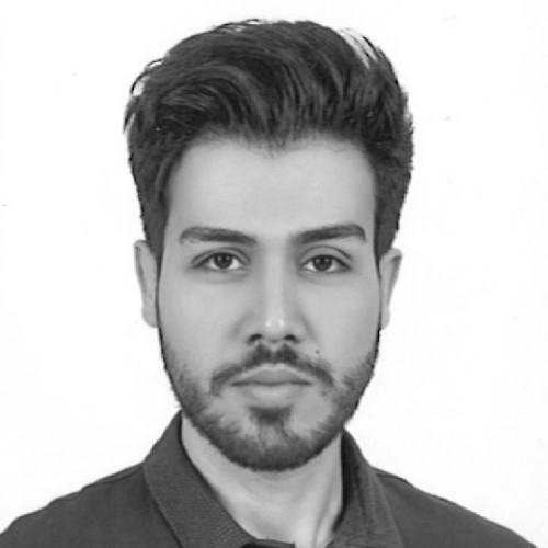 Hamid Yadegar Amin