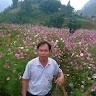 Chieu Do Danh