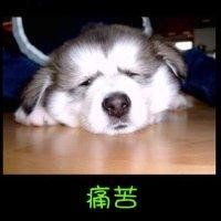 胡义飞