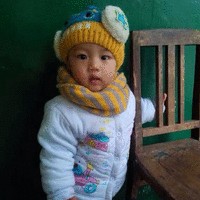 章振华