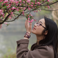 吴茜茜