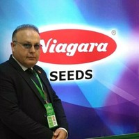 mohammad seyedmomeni