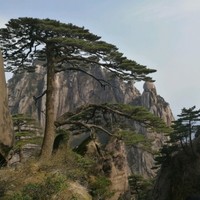 叶俊伟