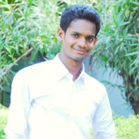 NANDAN PULI