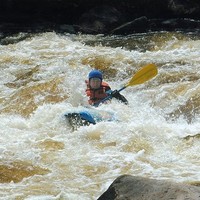 Fowler David
