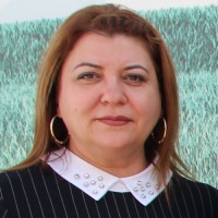Nicoleta Constantinescu