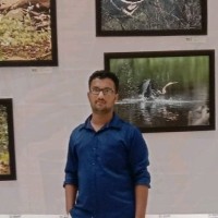 Perinban M