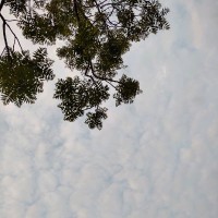 贾颖松