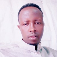 Mohamed Osman Abdille