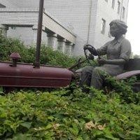 蔡海坤