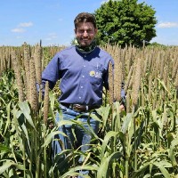 Guilherme Guimarães