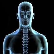 Chiro Practor