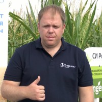 Евгений Сулименко