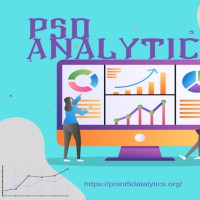 Point Five Data Analytics Consult