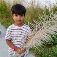 Asad Asad