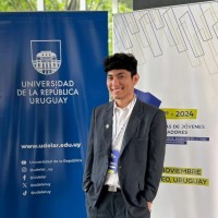 Mauricio Ariel Castro Andres