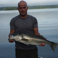 Jim Patterson, TN-QHP