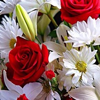 Ajay Shaha