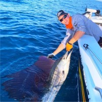 Liam Allsop
