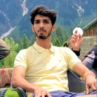 Muhammad Ameer Hamza