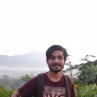 Raj Raman