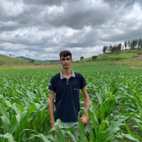 Patrick Ramos De Almeida