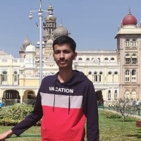 Manas Raut